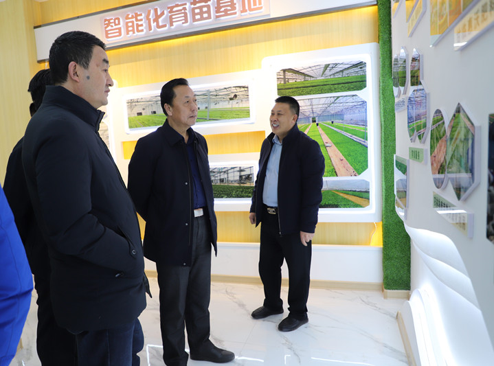 省耕保总站站长崔增团赴临泽开展春小麦扩种抓点示范调研