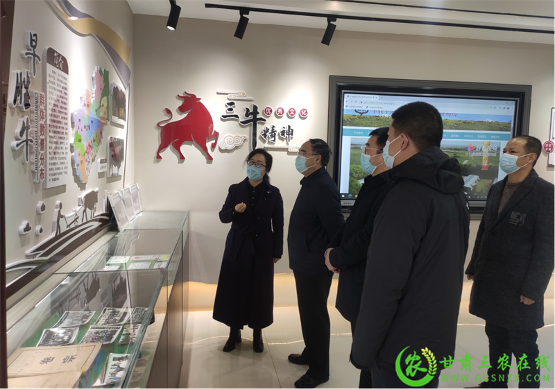 省畜牧总站站长李积友在宁县调研指导早胜牛保种和肉牛产业高质量发展工作