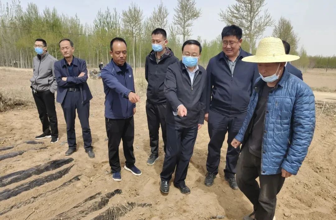 省农业农村厅督导组在会宁县督导农业农村重点工作