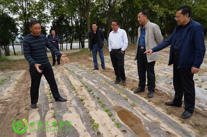 省耕保总站督查组一行赴麦积区县督查农业农村重点工作