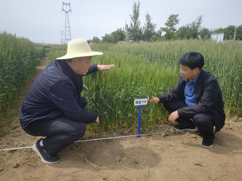 省农技推广总站李城德书记一行赴灵台县开展农技推广重点工作调研督导