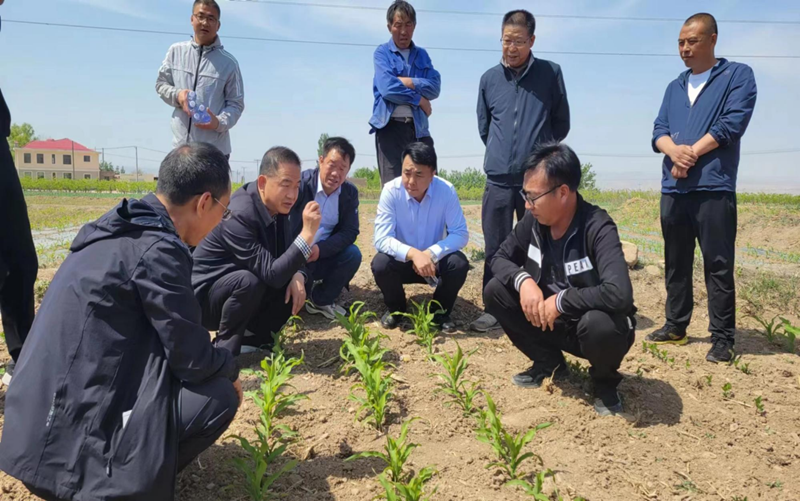 省农技总站督导组赴白银市平川区靖远县督查指导大豆玉米带状复合种植春小麦扩种等工作