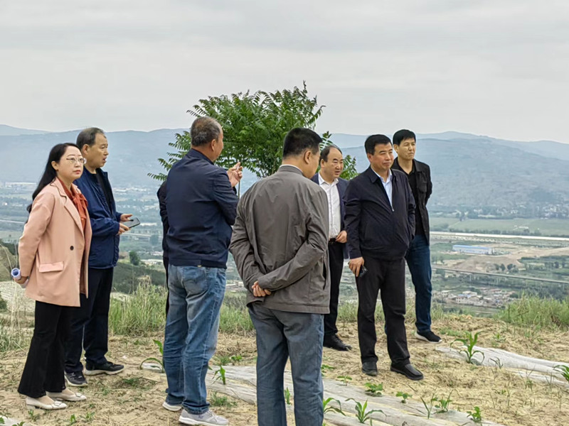 省植保站刘卫红一行调研督导麦积区小麦病虫害防控等工作