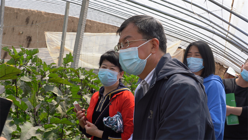 全省设施蔬菜生产技术培训班观摩团走进靖远县取经