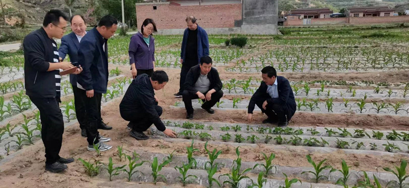 省植保植检站督导调研张家川县粮食生产工作