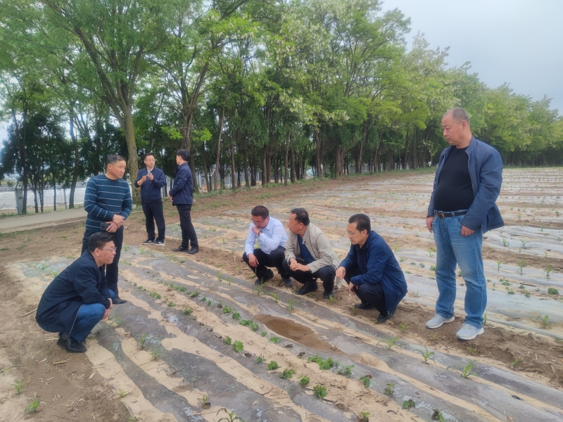 省农业农村厅督导检查天水市粮食生产工作