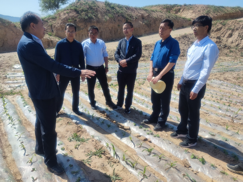 省农业农村厅督导检查天水市粮食生产工作