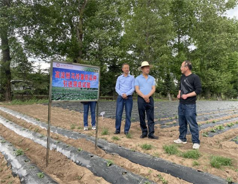 省农技推广总站督导组赴定西市渭源县督查指导现代丝路寒旱特色产业工作