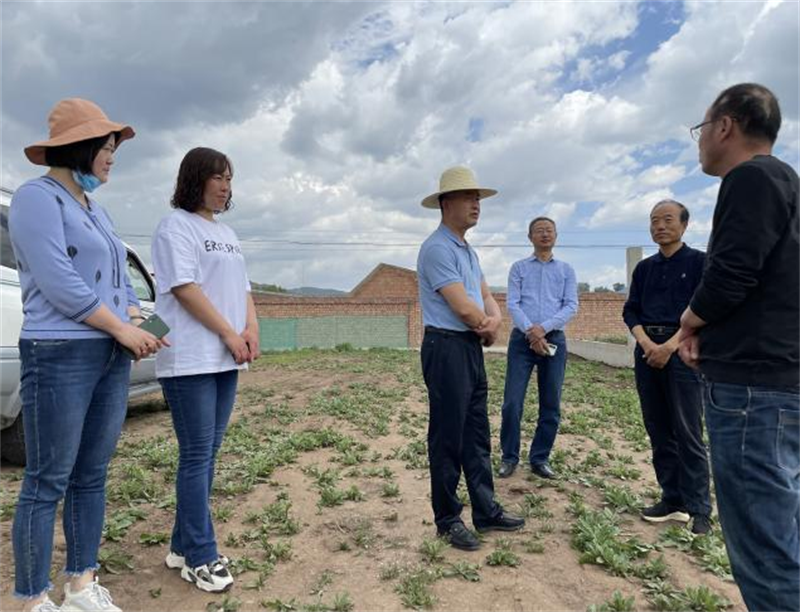 省农技推广总站督导组赴定西市渭源县督查指导现代丝路寒旱特色产业工作