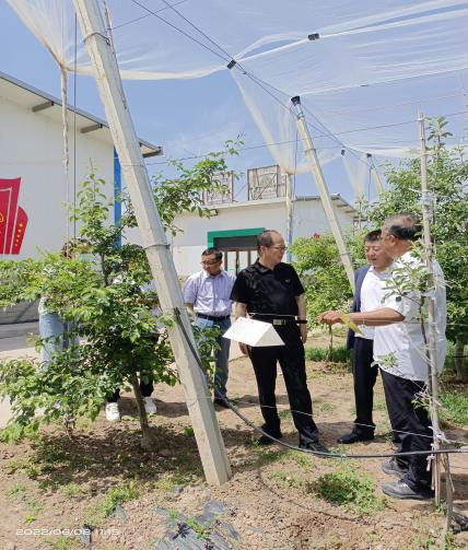 省植保植检站副站长张晶东调研静宁县农作物重大病虫害监测防控工作