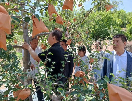 省植保植检站副站长张晶东调研静宁县农作物重大病虫害监测防控工作