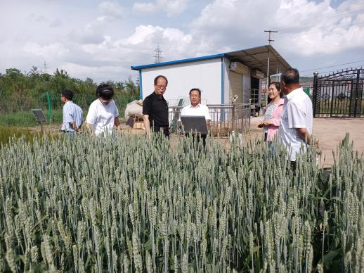 省植保植检站副站长张晶东调研静宁县农作物重大病虫害监测防控工作