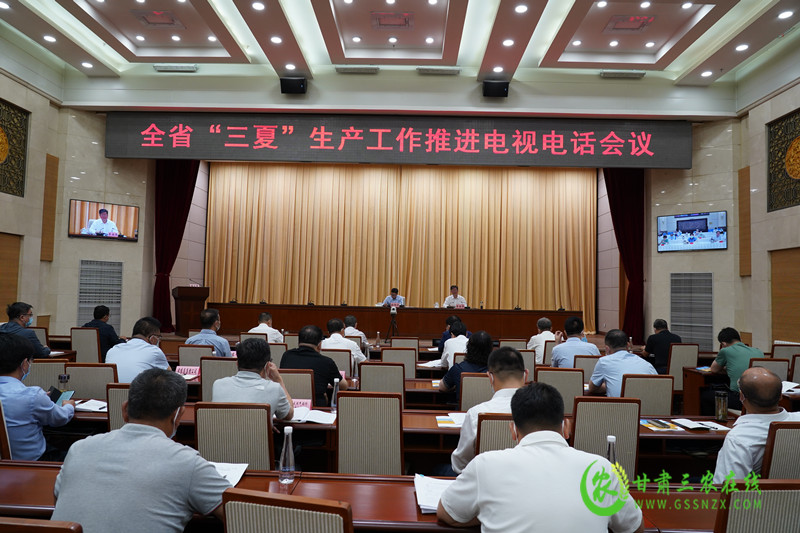 省政府召开全省“三夏”生产工作推进电视电话会议