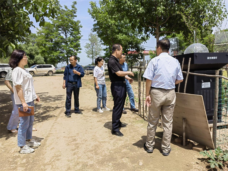 省植保植检站督查泾川县农作物重大病虫害监测防控及大豆玉米带状复合种植工作