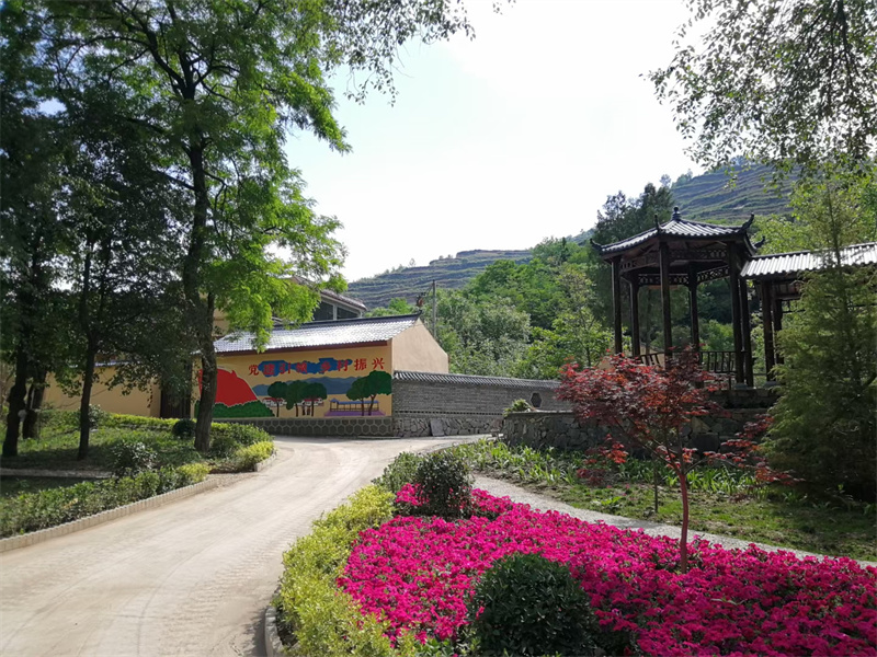出门见绿 移步即景——宕昌大堡村展开乡村振兴美丽画卷