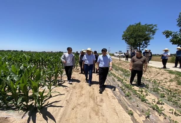 全省小麦机收准备到位  夏粮收获陆续开镰