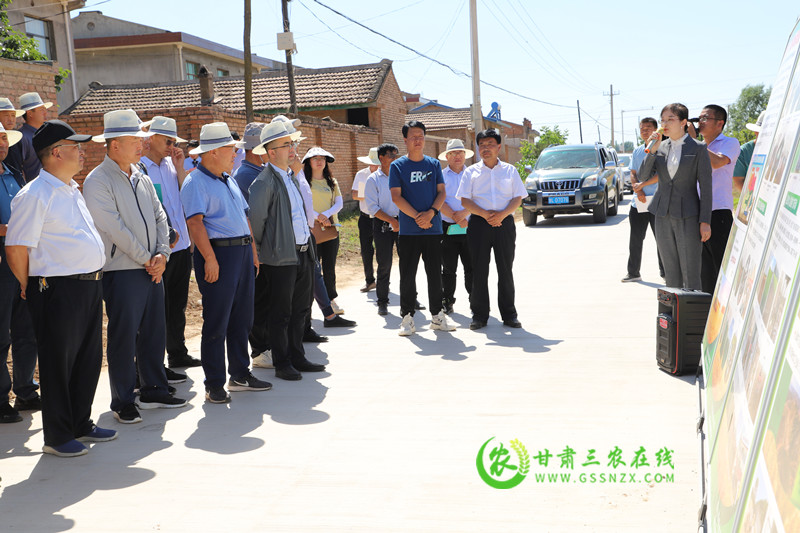 全省小麦绿色高效生产暨农技推广抓点示范观摩培训会在灵台县顺利召开