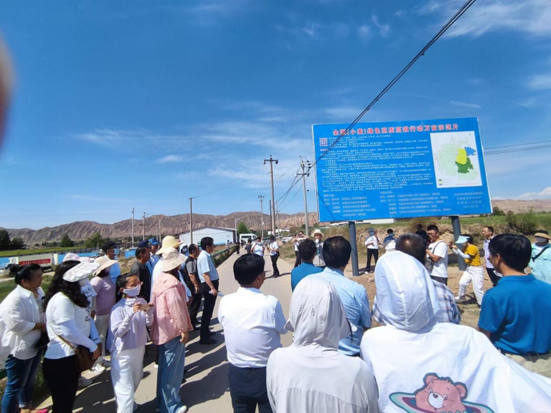 永登县2022年小麦绿色高质高效行动现场观摩会召开