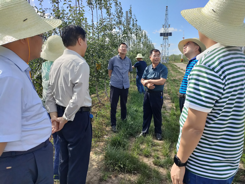 省经作站站长李向东一行赴宁县调研督导苹果绿色高质高效行动开展情况