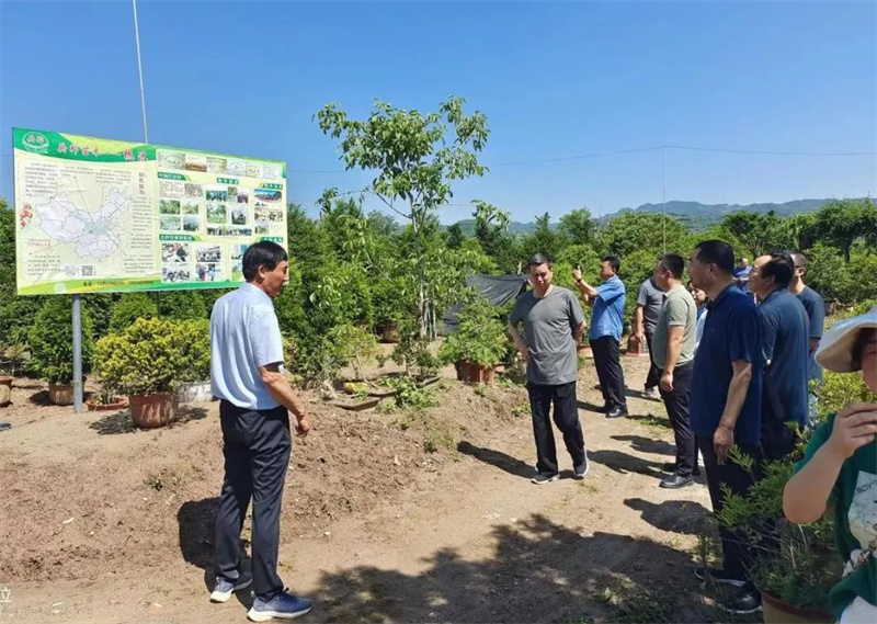 徽县农业农村局联合多部门开展申报国家省市级农民合作社示范社实地核查工作