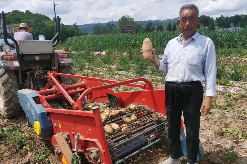 东西部协作马铃薯机种机收在徽县初试成功