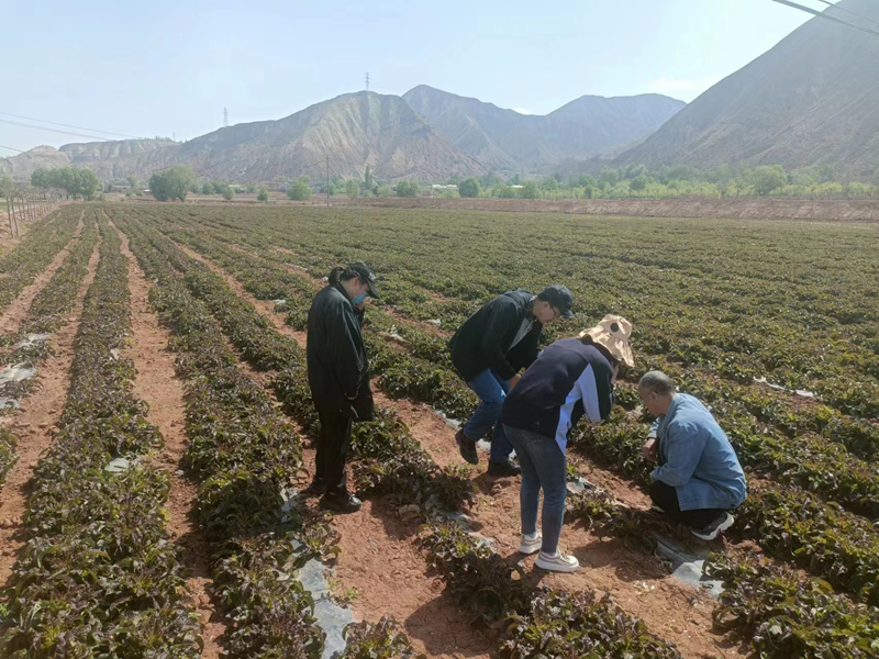 永靖县旱作节水农业试点项目水肥一体化技术实现节肥 30%节水40%以上