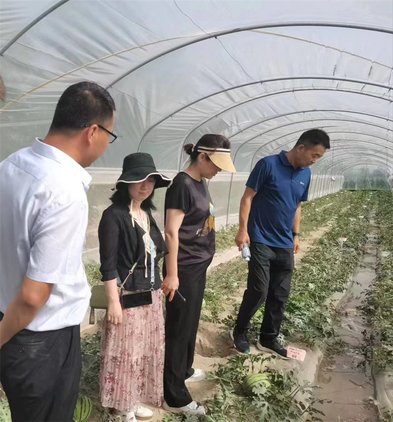 甘肃省植保植检站副站长姜红霞调研督导武威市农作物有害生物防控等工作