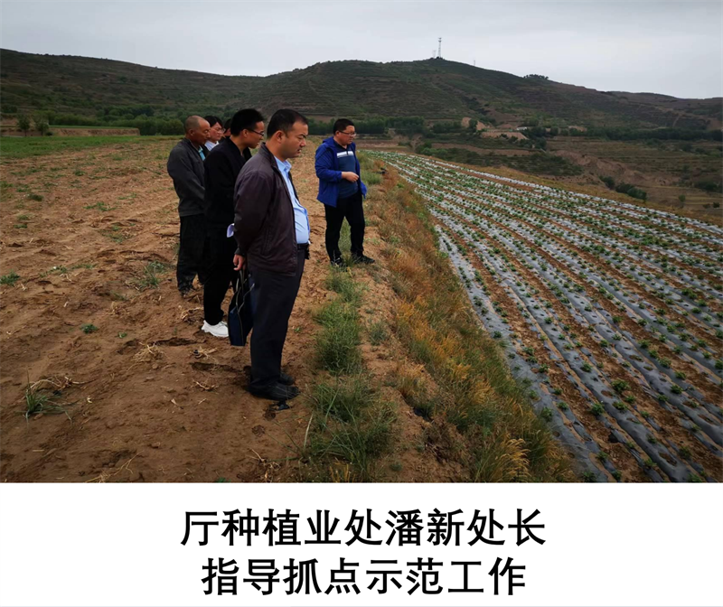 省农业农村厅厅长李旺泽等领导关心抓点示范工作 关注土肥水重点项目