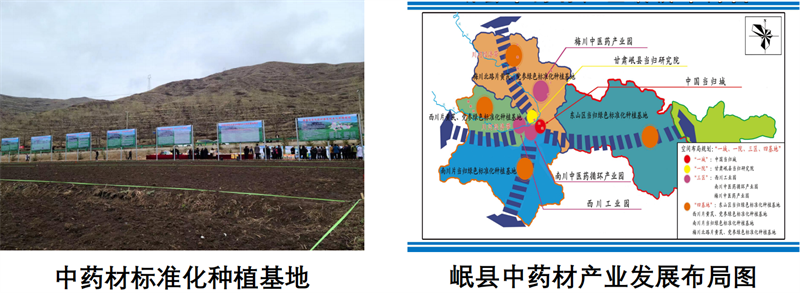 岷县道地中药材绿色标准化种植基地