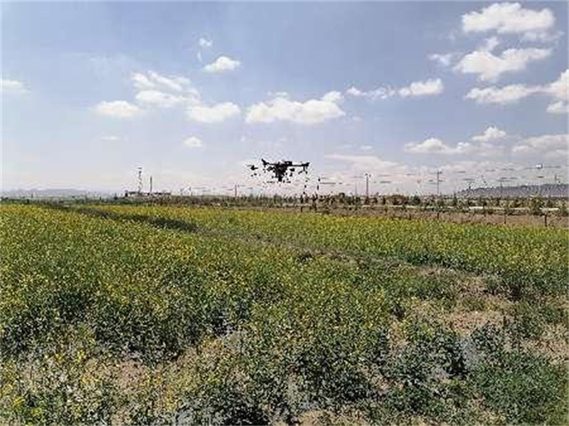 天祝县旱作节水农业技术推广、绿色高质高效创建项目成果展示