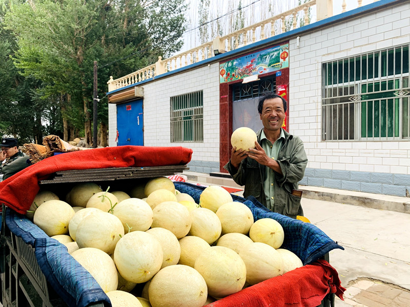 瓜州县“金玛瑙”铺就甜蜜致富路