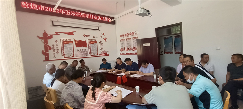 敦煌市：开展农业生产社会化服务 助力土地增效农民增收