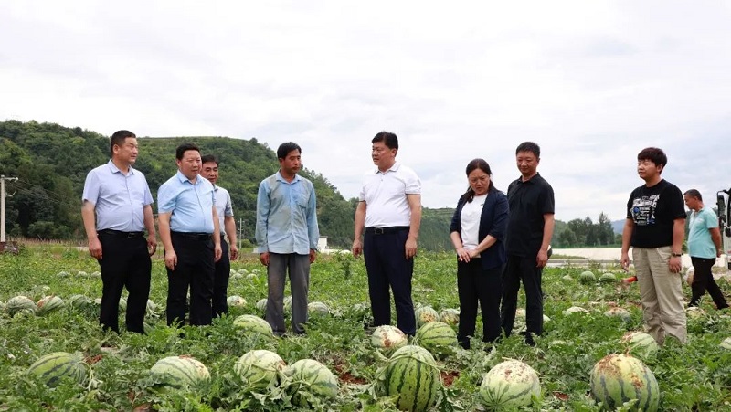 徽县委书记张立新调研指导全县乡村振兴示范村建设等重点工作