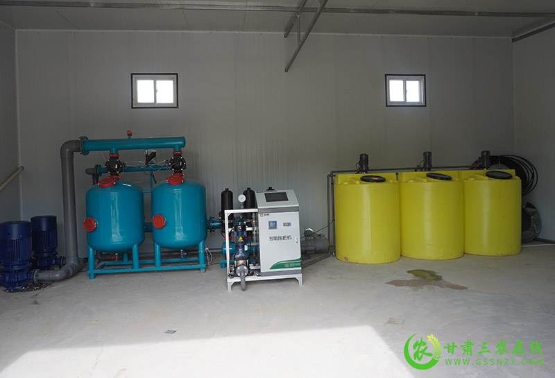 静宁县建设玉米绿色优质高产高效技术示范点