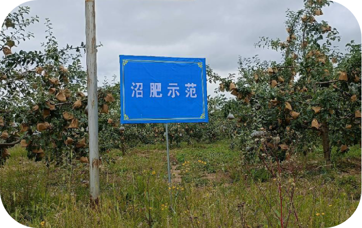 庄浪县建立粪肥还田试验示范区获取最佳配肥科学数据