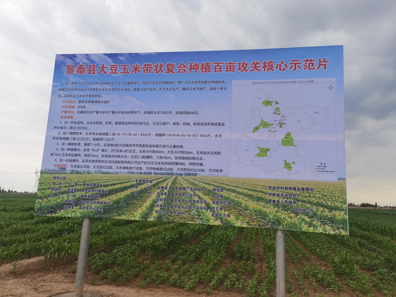 景泰县推广绿色高质高效技术实现大豆玉米复合种植均衡稳产增量