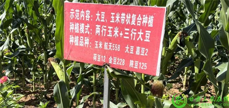 微信图片_20220801181214.jpg