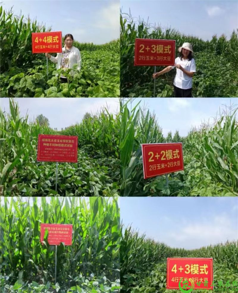 微信图片_202208161424281.jpg