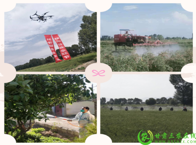 图片9.png