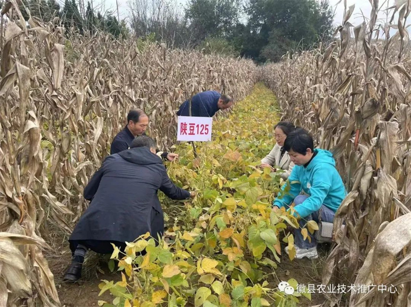 微信图片_20221017105425.jpg