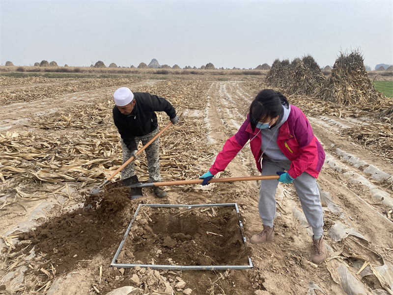 4.形成采样样方。用1m×1m铁框做为界限，挖建深度约30cm，形成1m×1m大小的采样样方。 (2).JPG