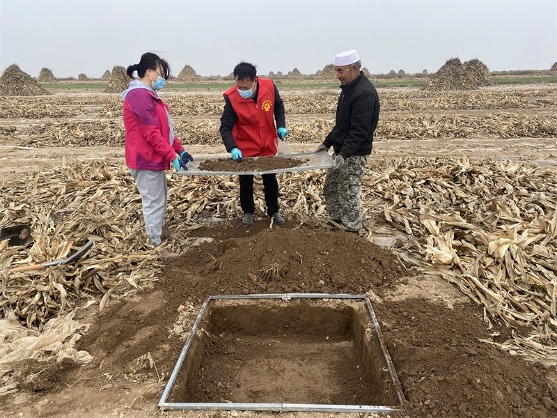 6.捡出残留地膜。土壤过10目筛子，捡出肉眼可见残膜。.JPG