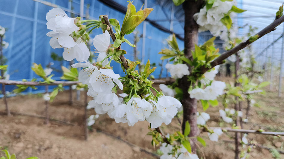 微信图片_20230214194026