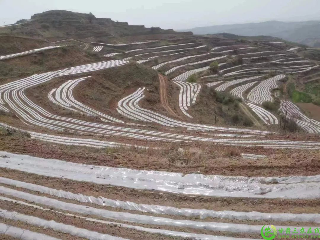 微信图片_202304281016063333333.jpg