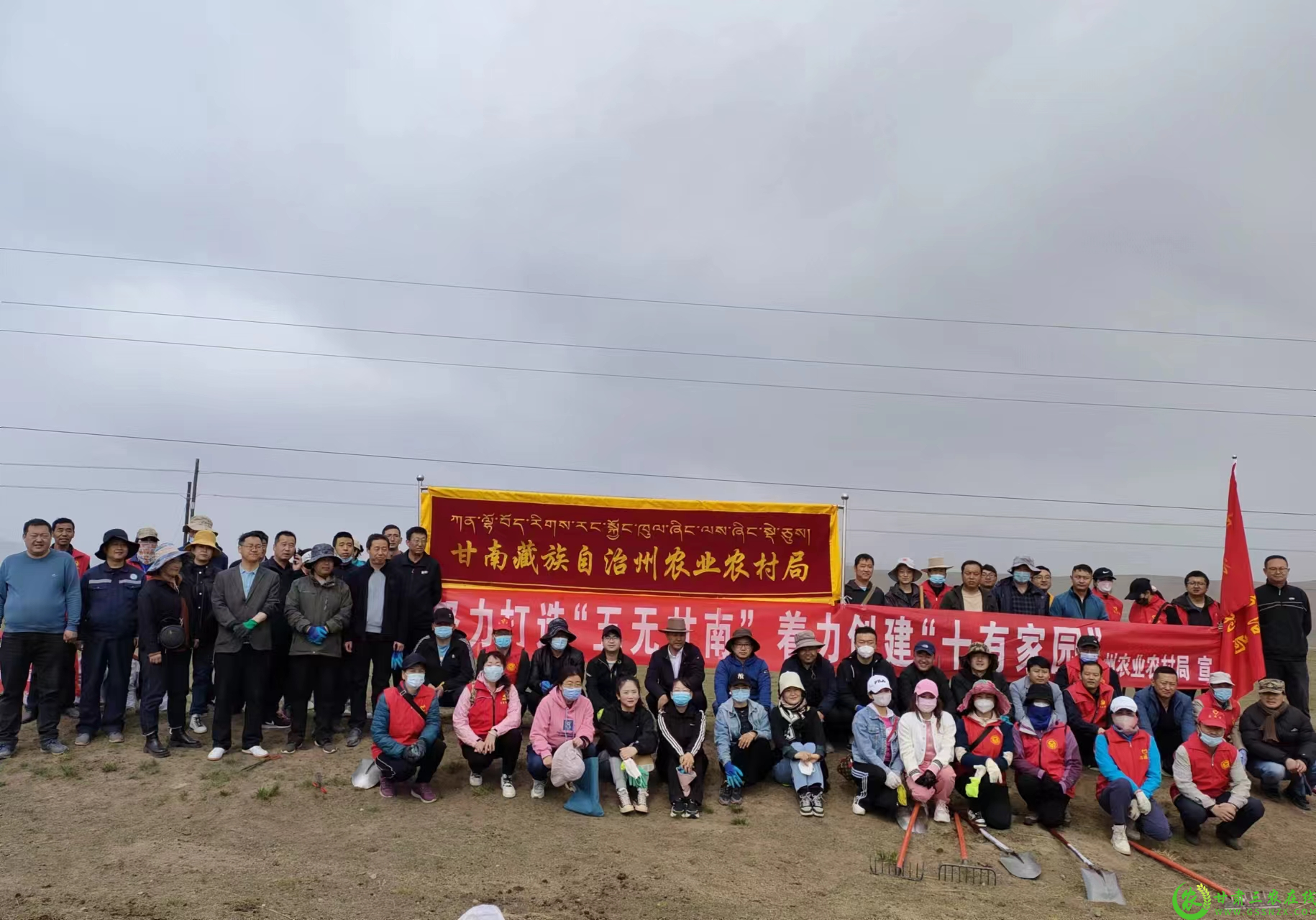 图片14343434343434343434.png
