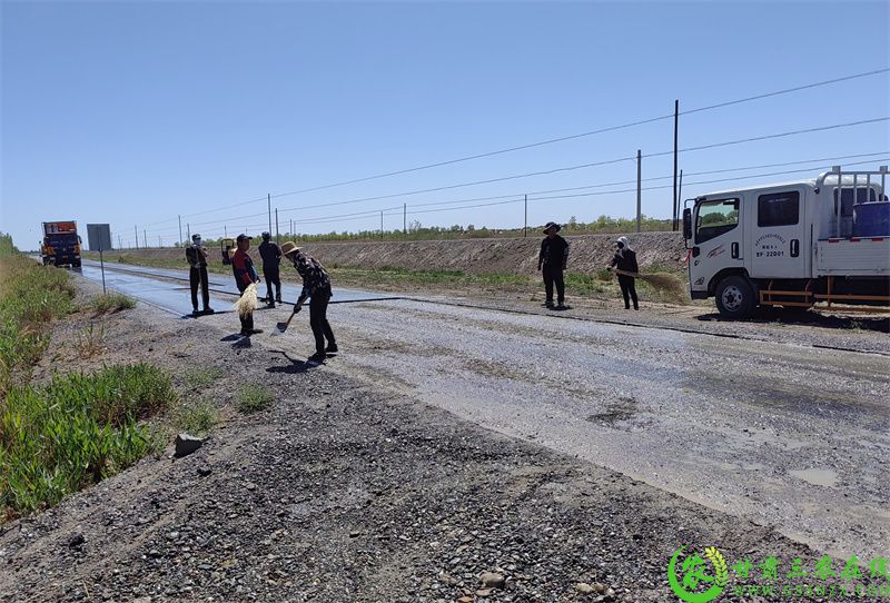 工人们紧张有序、分工明确、配合娴熟地进行硬化路肩施工.jpg