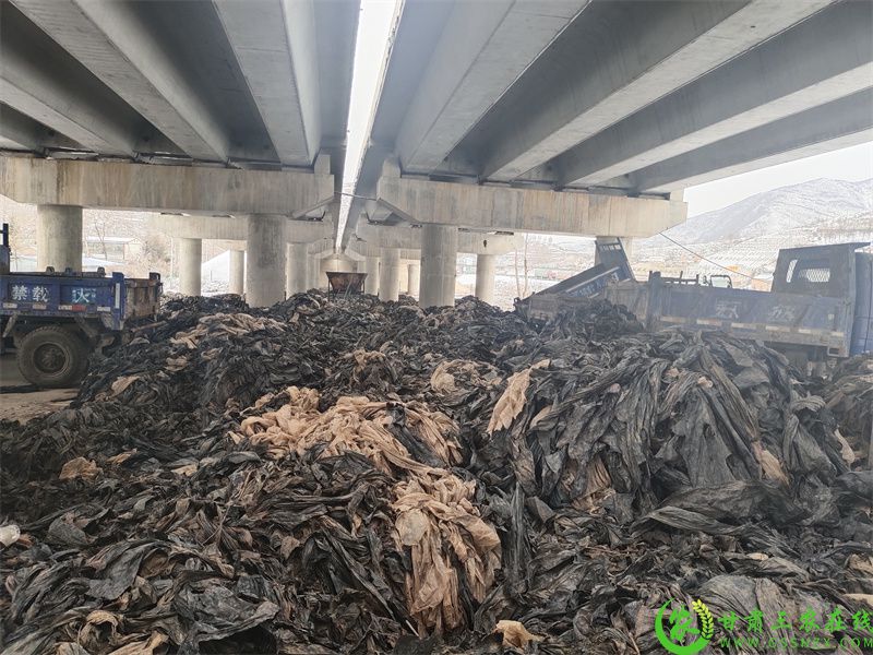 漳县大草滩三友村废旧地膜临时堆放点.jpg