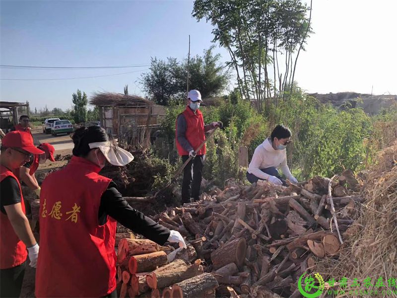 敦煌市持续开展“两清”“三整”“十六治”行动2 - 副本.jpg