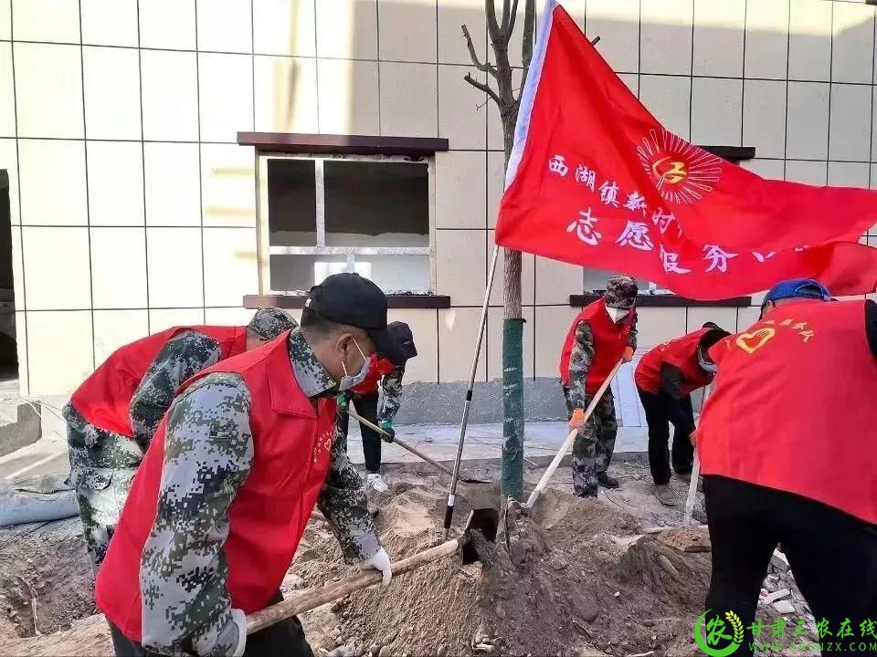 图片2  瓜州县西湖镇党员干部志愿者在新时代文明建设方面发挥带头作用1.jpg