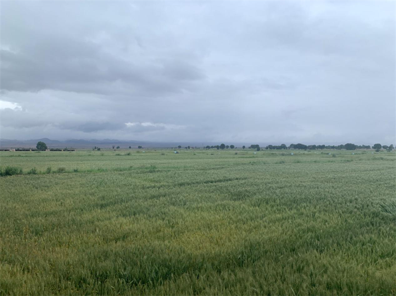 图片1.png5512122.png